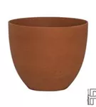 Refined - Coral