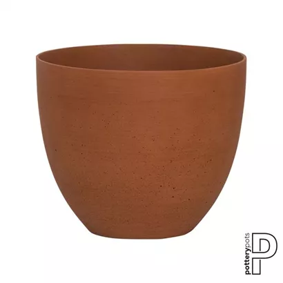 Refined - Coral