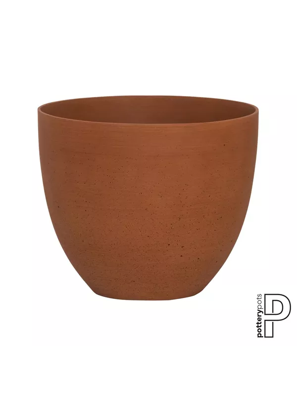 Refined - Coral