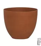 Refined - Coral