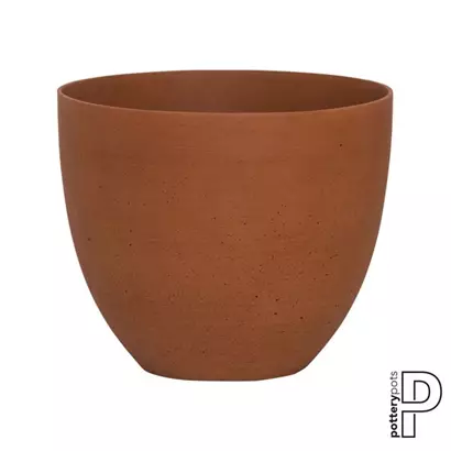 Refined - Coral