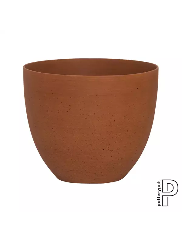 Refined - Coral