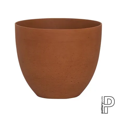 Refined - Coral
