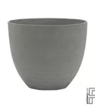 Refined - Coral Refined - Coral