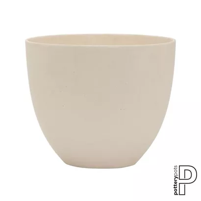 Refined - Coral