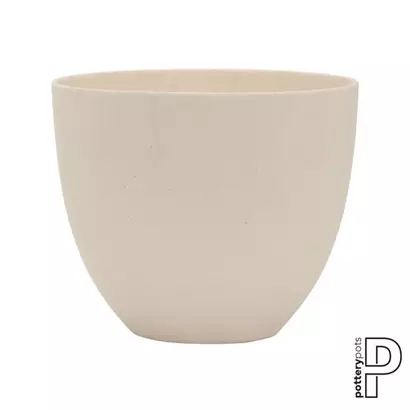 Refined - Coral
