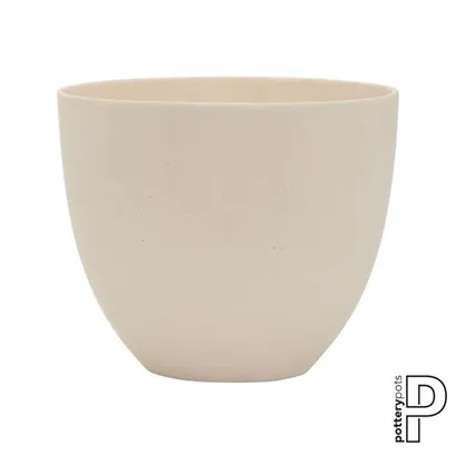 Refined - Coral