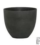 Refined - Coral Refined - Coral