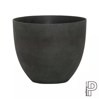 Refined - Coral Refined - Coral