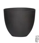 Refined - Coral Refined - Coral