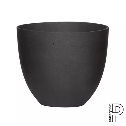 Refined - Coral Refined - Coral