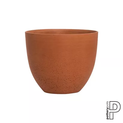 Refined - Coral