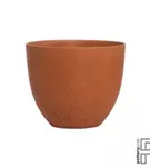 Refined - Coral Refined - Coral