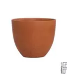 Refined - Coral