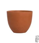 Refined - Coral