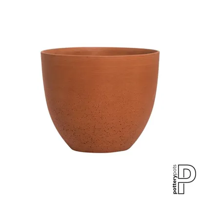 Refined - Coral