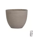 Refined - Coral Refined - Coral