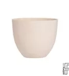 Refined - Coral Refined - Coral