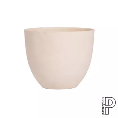 Refined - Coral