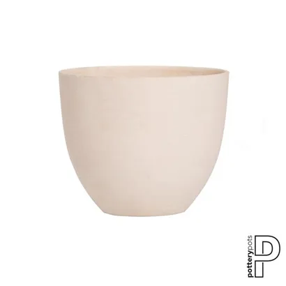 Refined - Coral