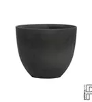 Refined - Coral Refined - Coral