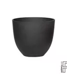 Refined - Coral Refined - Coral