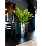 Cement - Dax Cement - Dax