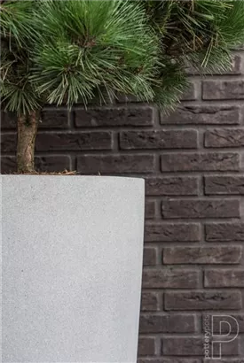 Cement - Dax Cement - Dax