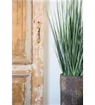 Cement - Dax Cement - Dax