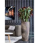 Cement - Dax Cement - Dax