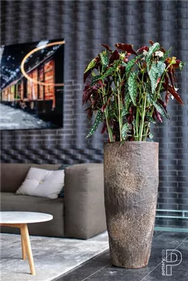 Cement - Dax Cement - Dax