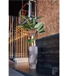 Cement - Dax Cement - Dax