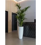 Cement - Dax Cement - Dax