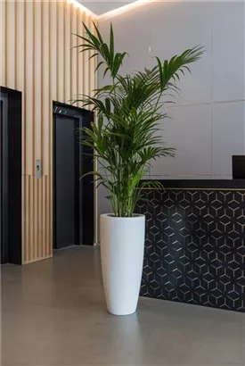 Cement - Dax Cement - Dax