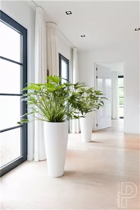 Cement - Dax Cement - Dax