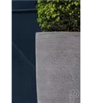 Cement - Dax Cement - Dax