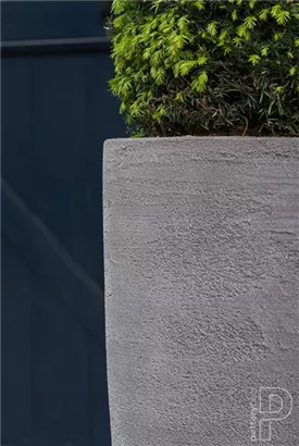 Cement - Dax Cement - Dax