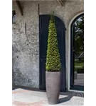 Cement - Dax Cement - Dax