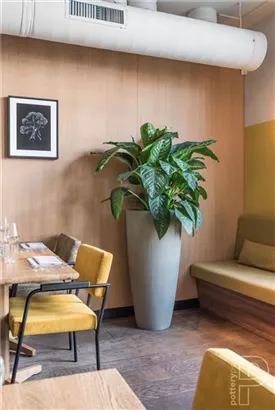 Cement - Dax Cement - Dax