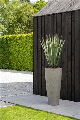 Cement - Dax Cement - Dax