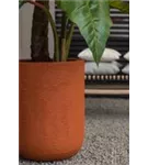 Natural - Dice Natural - Dice