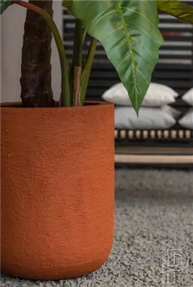 Natural - Dice Natural - Dice