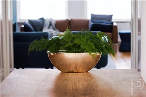 Natural - Dorant Natural - Dorant