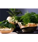 Natural - Dorant Natural - Dorant