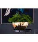 Natural - Dorant Natural - Dorant