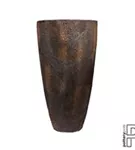 Oyster - Hugo Oyster - Hugo