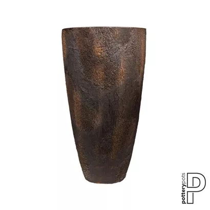 Oyster - Hugo Oyster - Hugo