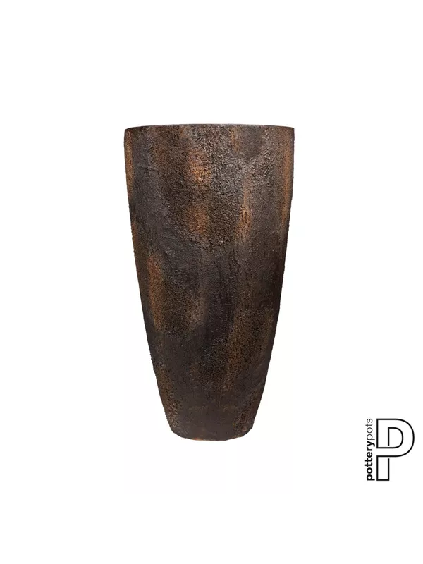 Oyster - Hugo Oyster - Hugo