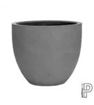 Oyster - Jesslyn Oyster - Jesslyn