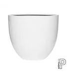 Oyster - Jesslyn Oyster - Jesslyn